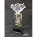 Crystal Trophies